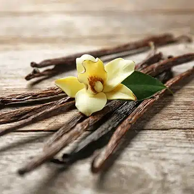 Bacche di vaniglia per gelati